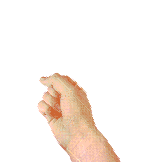 Hand